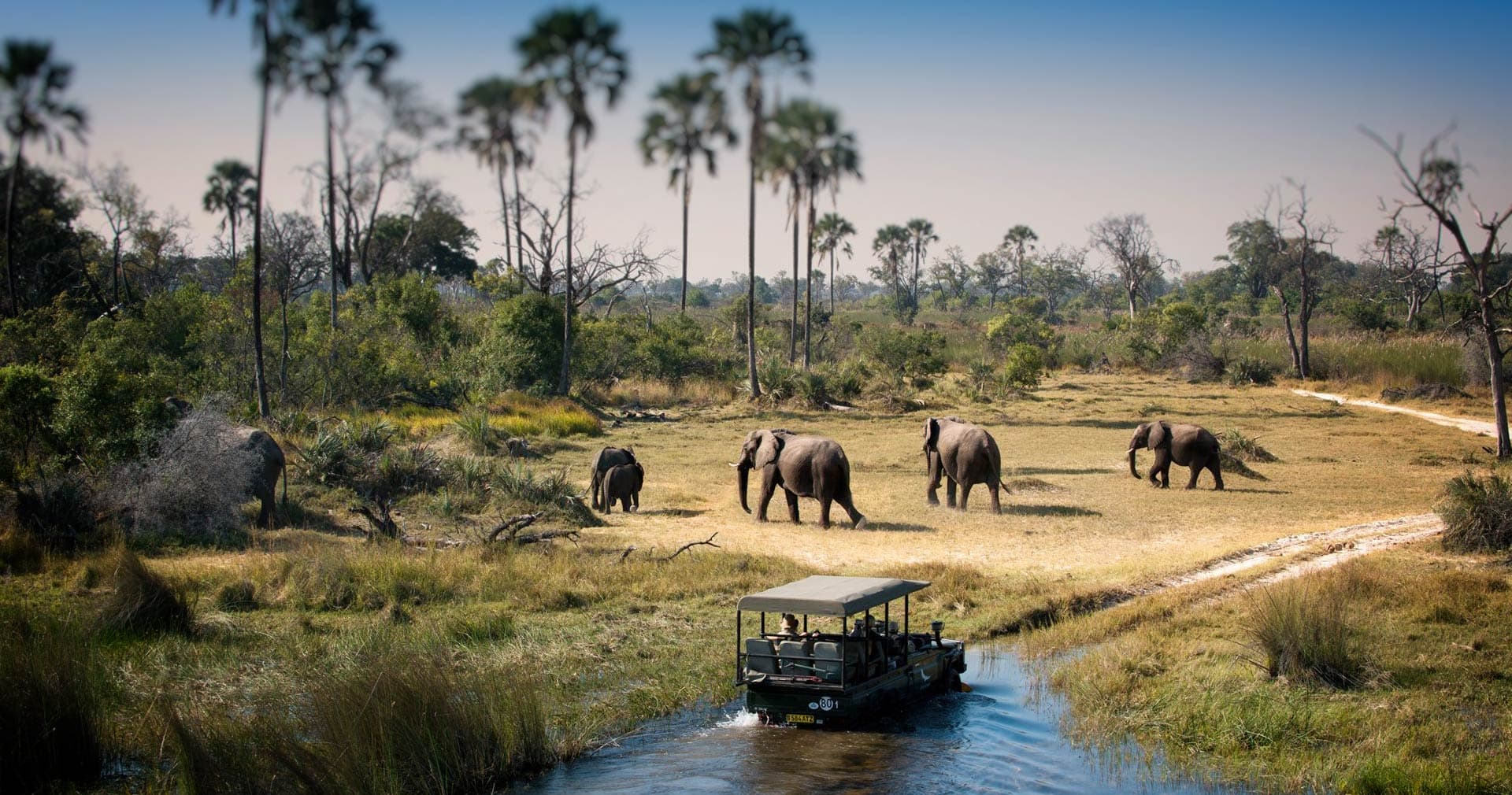 Chobe