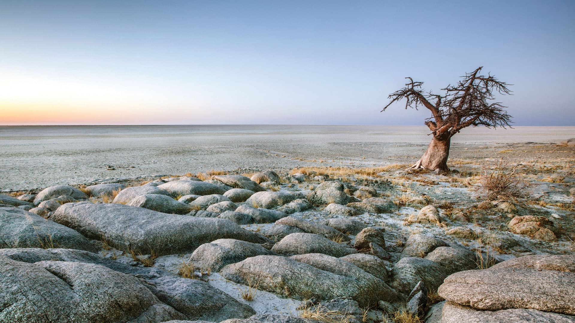 Makgadikgadi & Kalahari