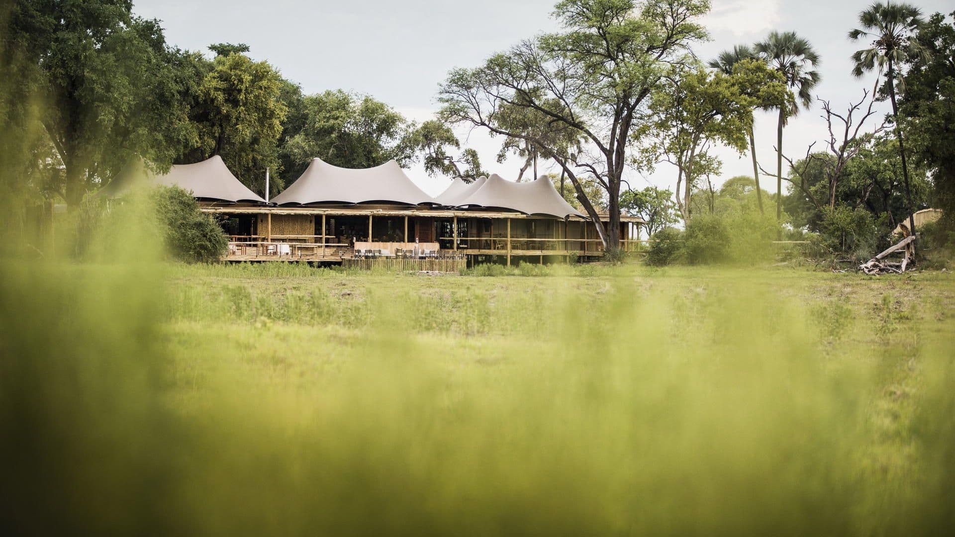 Mombo Camp — photograph 1