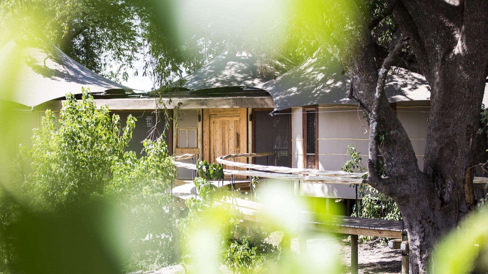 Mombo Camp — photograph 2