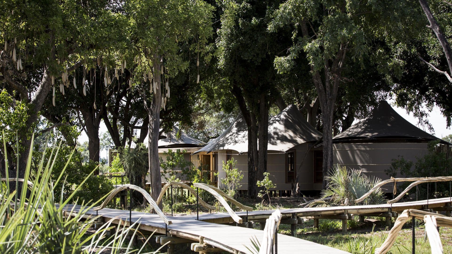 Mombo Camp — photograph 4