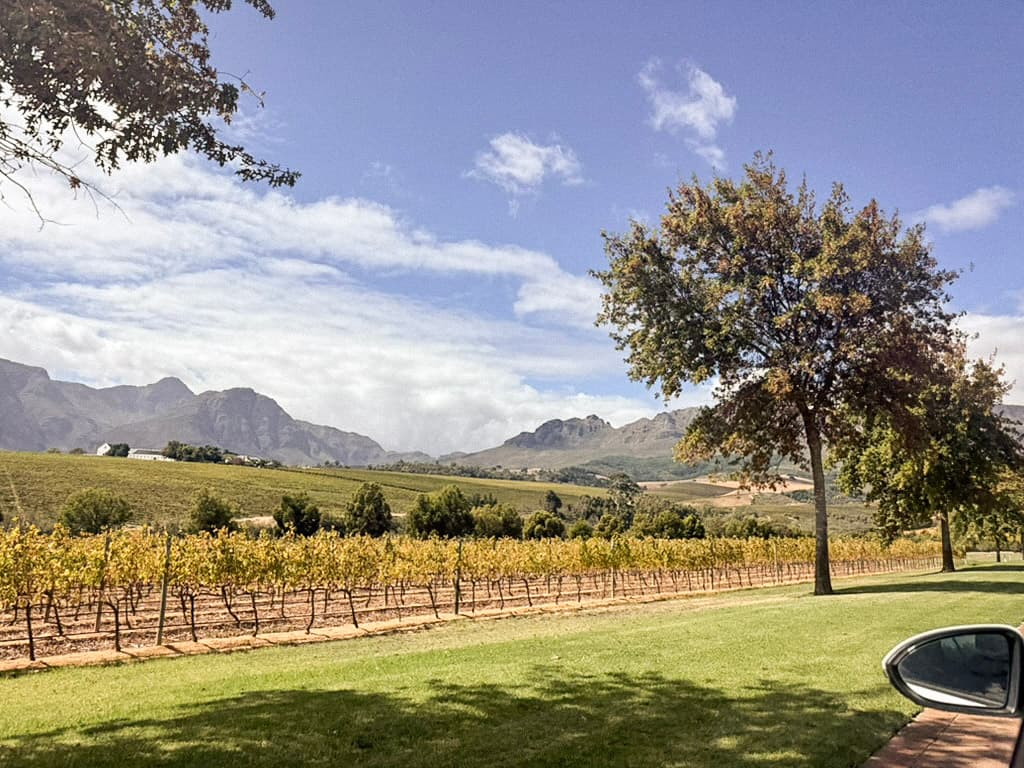 Cape Winelands